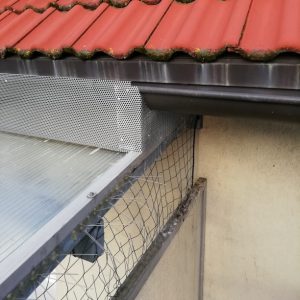 NetzUndGitterGegenTauben Netz und Gitter gegen Tauben